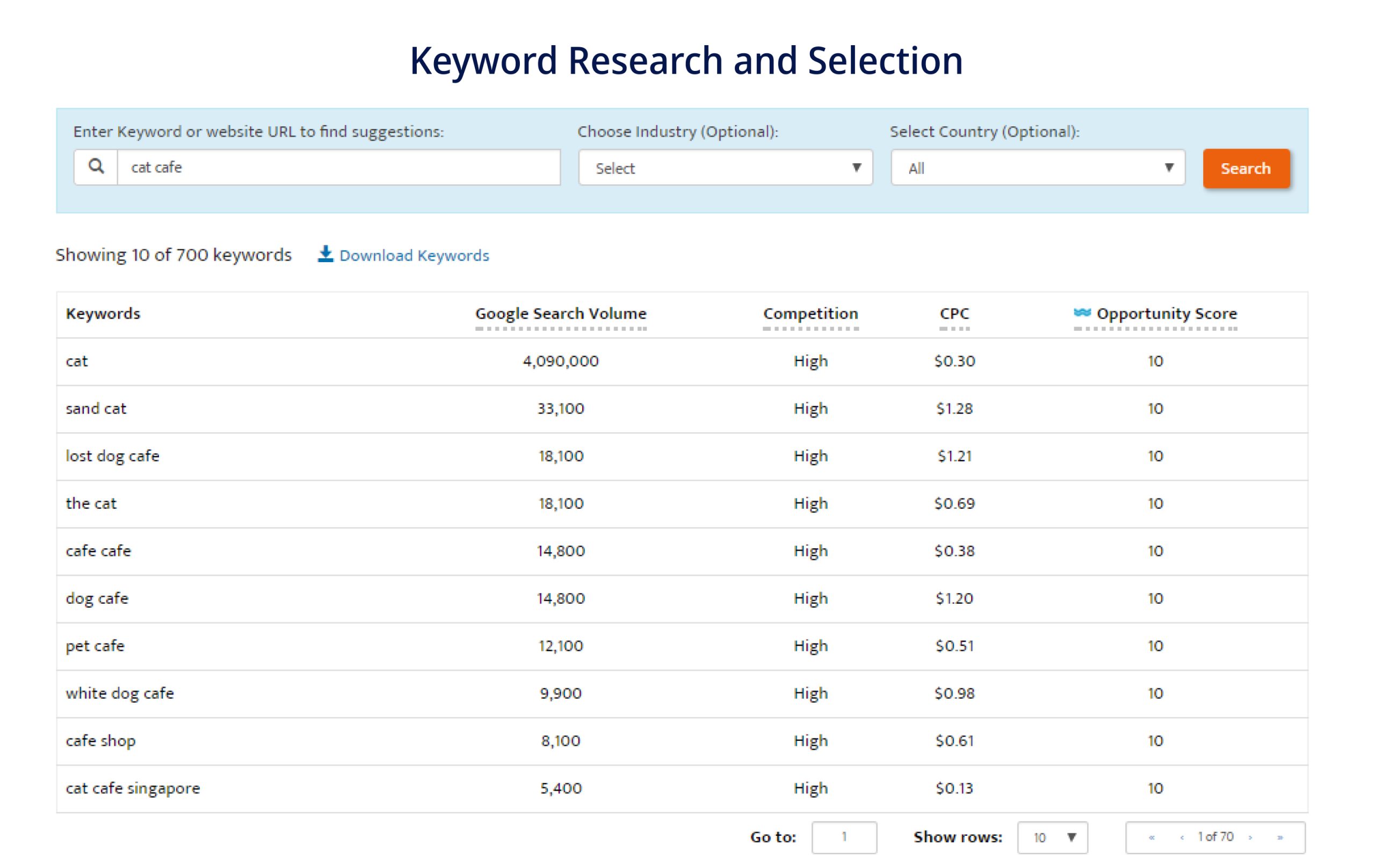 Keyword Research and Selection