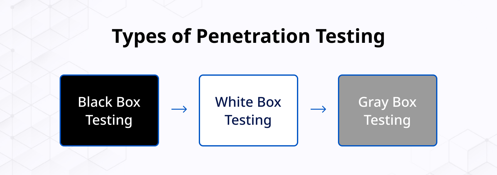 Types of Penetration Testing